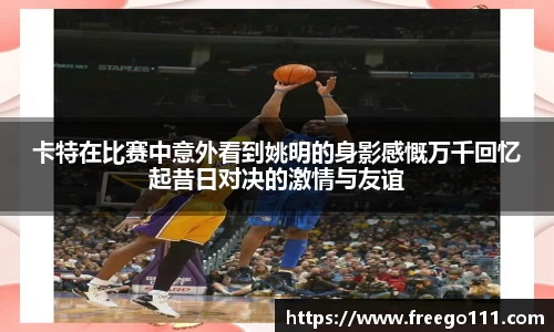 球速体育