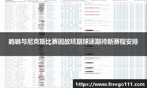 k8鹈鹕与尼克斯比赛因故延期球迷期待新赛程安排